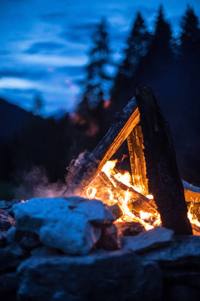 istock Camping bonfire with yellow and red flames in summer, forest. Copy space. 1167231035