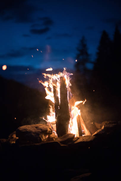 istock Camping bonfire with yellow and red flames in summer, forest. Copy space. 1167231056