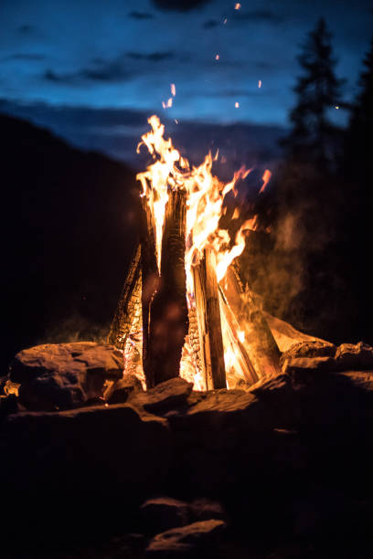 istock Camping bonfire with yellow and red flames in summer, forest. Copy space. 1167231081