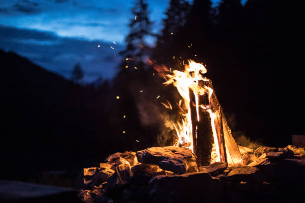 istock Camping bonfire with yellow and red flames in summer, forest. Copy space. 1167231116