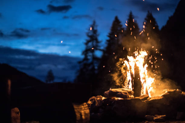 istock Camping bonfire with yellow and red flames in summer, forest. Copy space. 1167231173