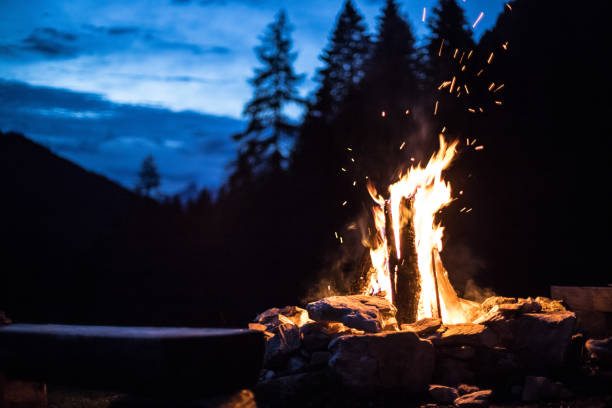 istock Camping bonfire with yellow and red flames in summer, forest. Copy space. 1167231174