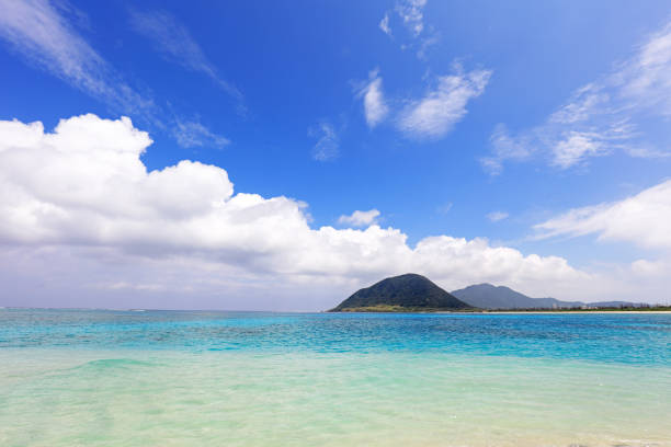 istock Gorgeous beach in summertime. 1167231191