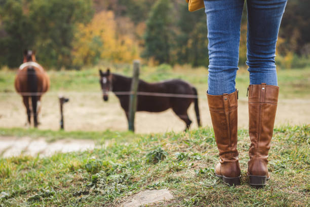 bereit zum reiten pferd im fahrerlager. - western europe fotos stock-fotos und bilder