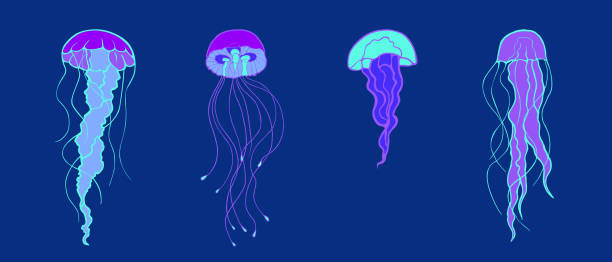 istock Set of hand drawn jellyfish on the dark background. Great for fabric, textile, background, wrapping paper, invitation, stickers. 1167233633