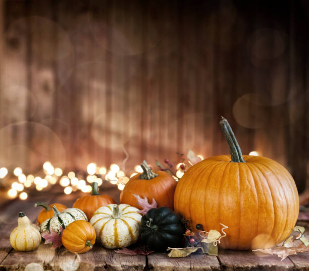 fundo da abóbora - pumpkin autumn october squash - fotografias e filmes do acervo