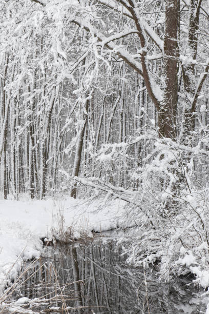 istock bavarian winter landscape next next to schwandorf 1167238701