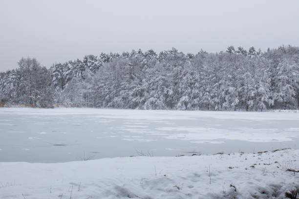 paisaje de invierno bávaro junto a schwandorf - 6184 fotografías e imágenes de stock