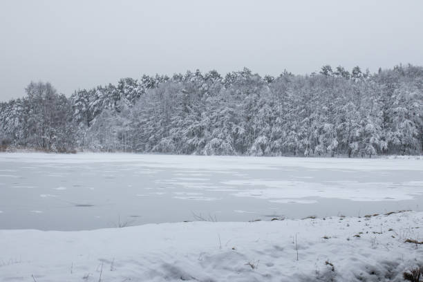 paisagem bávara do inverno ao lado do schwandorf - 6184 - fotografias e filmes do acervo