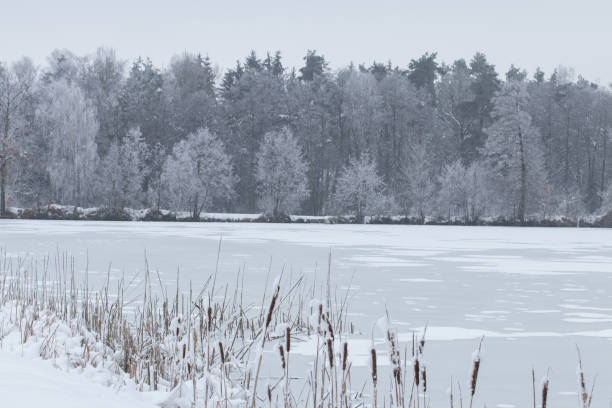 bavarian winter landscape next next to schwandorf - 6206 imagens e fotografias de stock