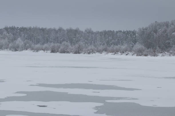 istock bavarian winter landscape next next to schwandorf 1167238898