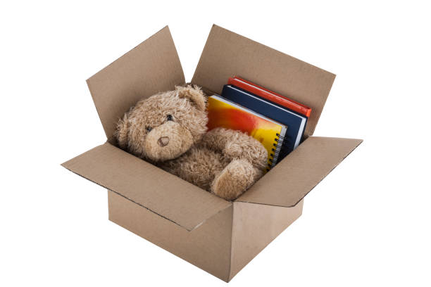 istock Teddy Bear in cardboard box isolated on white background 1167243500