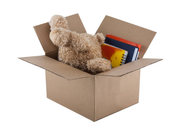 istock Teddy Bear in cardboard box isolated on white background 1167243540