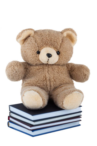 istock Teddy Bear sitting on books isolated on white background 1167243813