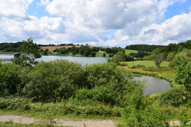 istock huge reservior in northern Eifel region 1167245838
