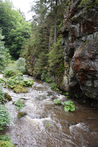istock Steinachklamm at Fichtelgebirge, Bavaria 1167250509