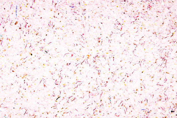 istock Lilac pink purple texture with a wonderful look 1167250557