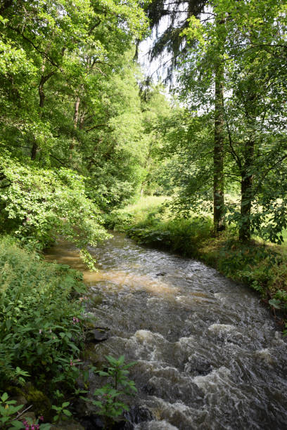 istock Steinachklamm at Fichtelgebirge 1167250672