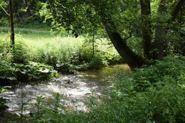 istock Steinachklamm at Fichtelgebirge 1167250732