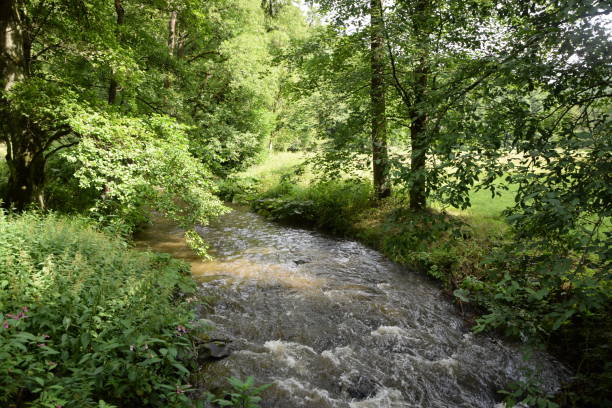 Steinachklamm at Fichtelgebirge