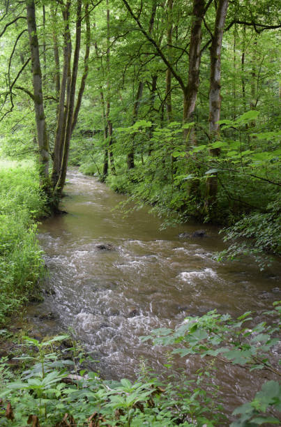 istock Steinachklamm at Fichtelgebirge 1167250778