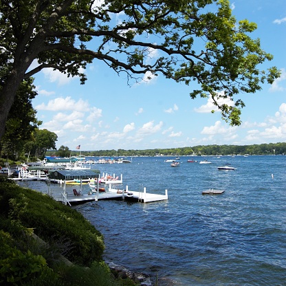 A tree arching over a lake and pier with unrecognizable people and boats in the distance
