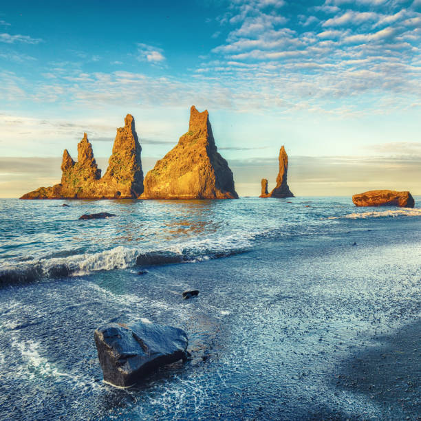istock Troll Toes on Black beach Reynisfjara 1167257615