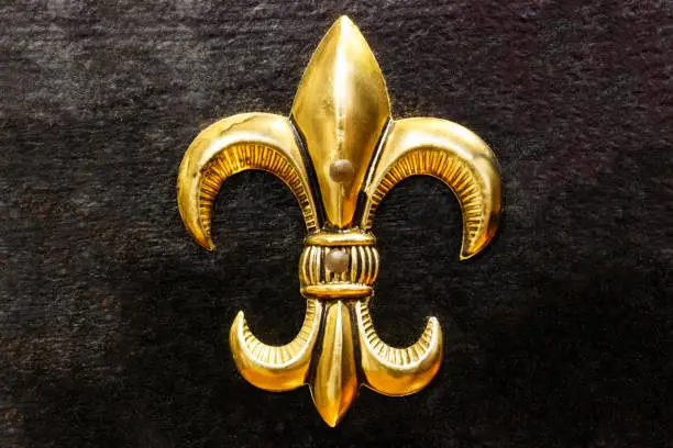 Photo of Gold Fleur-de-lis on painted black background II