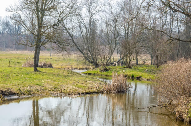 istock Simple landscape in early spring. Trees without leaves. 1167262717