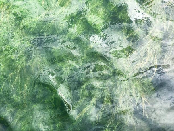 istock Sea water in Norway . 1167264641