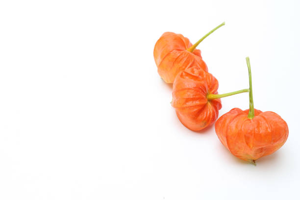 Pictured Chinese lantern plant in a white background.