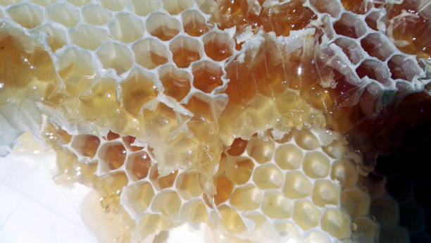 istock golden honeycomb in cell 1167264854