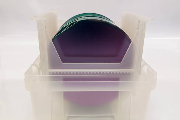 istock 6 Inch 150 mm Silicon Wafers in a Plastic Container Against a White Background 1167267144