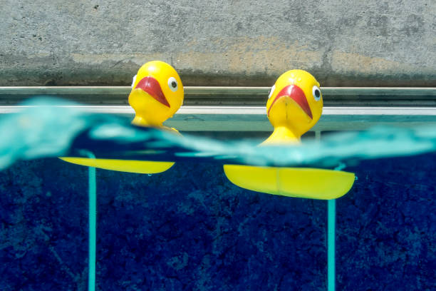 istock Half In and Half Out View of Two Yellow Floating Toy Ducks Riding a Wave 1167267919