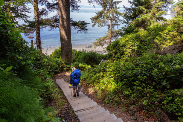 Hiking Juan de Fuca Trail Adventurous female is hiking Juan de Fuca Trail to Mystic Beach on the Pacific Ocean Coast during a sunny summer day. Taken near Port Renfrew, Vancouver Island, BC, Canada. colwood photos stock pictures, royalty-free photos & images
