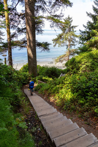 istock Hiking Juan de Fuca Trail 1167270036