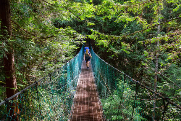 istock Hiking Juan de Fuca Trail 1167270076