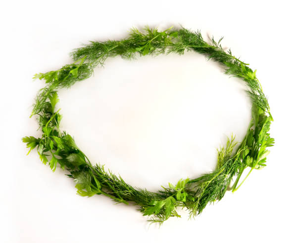 istock Greens photo frame, ecology. Isolated border for design, white background. 1167271154