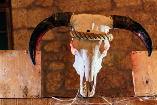 istock Animal skull with horns. Halloween decoration 1167271321