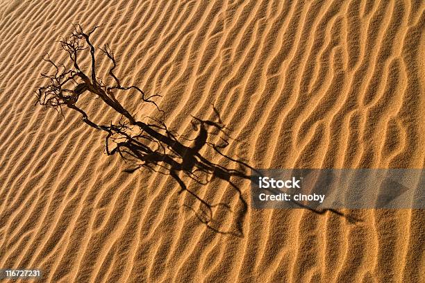 Sahara Structure Stock Photo - Download Image Now - Abandoned, Abstract, Aging Process