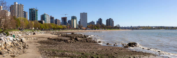 English Bay in Vancouver Downtown Vancouver, British Columbia, Canada - April 20, 2019: Panoramic view of English Bay in Stanley Park during a sunny day. beach english bay vancouver skyline stock pictures, royalty-free photos & images