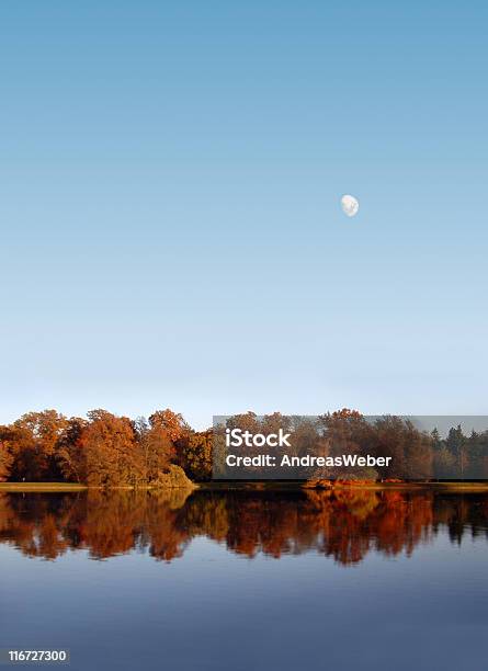 Photo libre de droit de Automne Sur Un Lac banque d'images et plus d'images libres de droit de Allemagne - Allemagne, Arbre, Aube