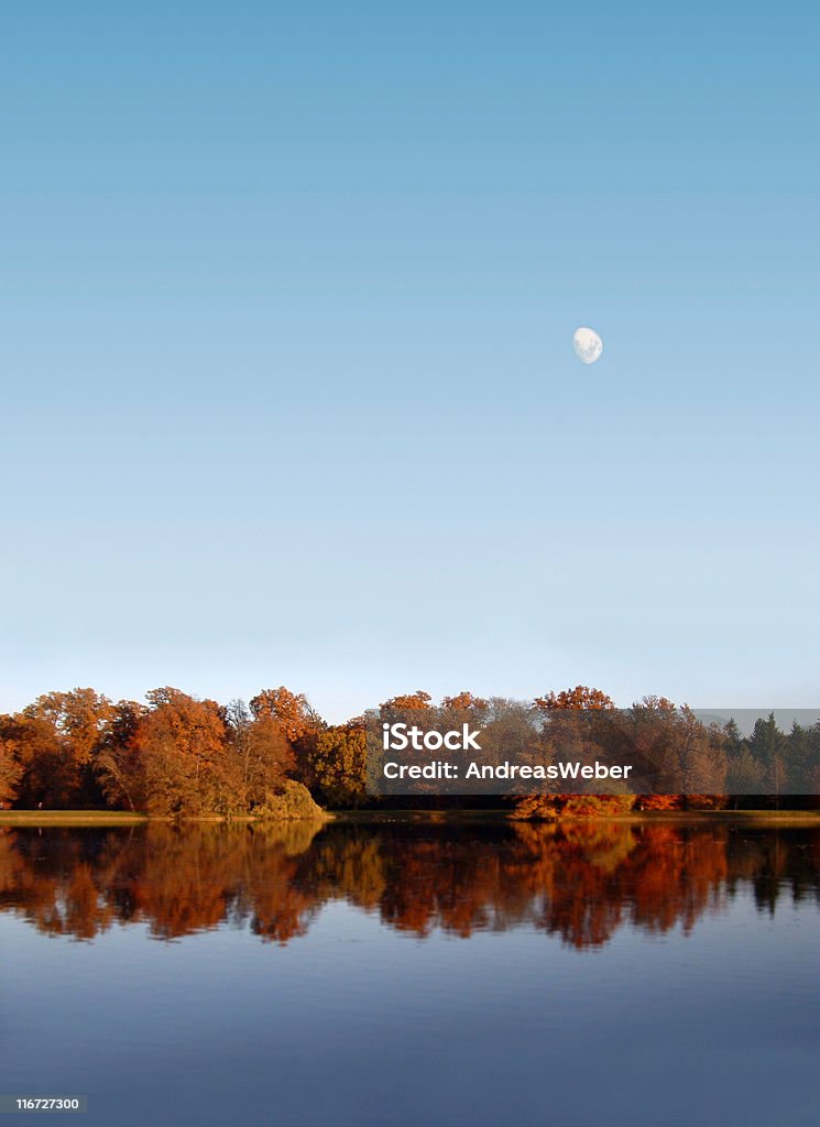 Autumn at a lake  Autumn Stock Photo