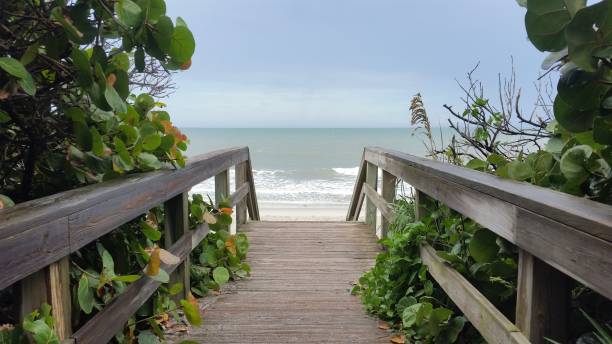 istock Wooden Central Florida Beach Boardwalk 1167274262