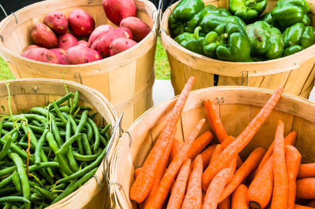 veggies de verano - august cape cod massachusetts new england fotografías e imágenes de stock