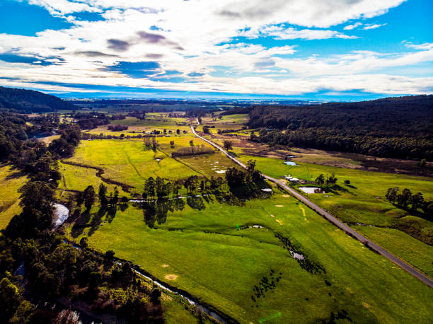 istock Liffey Valley Tasmania 1167280476