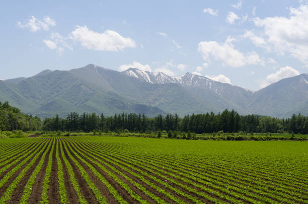 Field landscape Field landscape hidaka mountains stock pictures, royalty-free photos & images