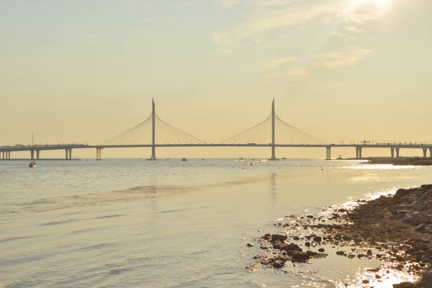 istock Cable bridge in Saint Petersburg. 1167284280