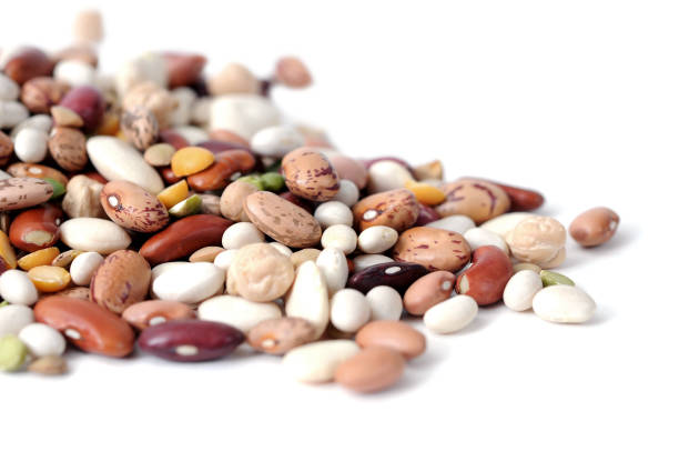 haricots - dried beans photos et images de collection