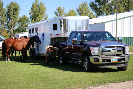 Mandan, ND, USA - September 19, 2016: Horses tied to horse trailer rig at a local horse show gymkhana omakase in the community, for an entertaining and fun event.